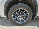 Thumbnail image of 2024 Lexus NX 250 at Used - NorthParkLexusAtDominion