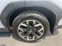 Thumbnail image of 2025 Subaru Forester at Northtown Subaru