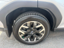 Thumbnail image of 2025 Subaru Forester at Northtown Subaru