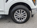 Thumbnail image of 2024 Ford F-150 at Sarasota Ford - New and Used