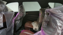 Thumbnail image of 2025 Dodge Durango at Major World Chrysler Dodge Jeep Ram