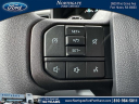 Thumbnail image of 2024 Ford F-350 Super Duty at Northgate Ford Lincoln