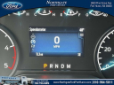 Thumbnail image of 2024 Ford F-350 Super Duty at Northgate Ford Lincoln