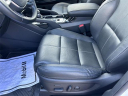 Thumbnail image of 2022 Kia Telluride at Auffenberg Kia of Cape Girardeau