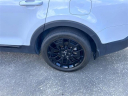 Thumbnail image of 2022 Kia Telluride at Auffenberg Kia of Cape Girardeau