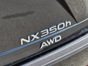 Thumbnail image of 2025 Lexus NX 350h at PerformanceLexus (Used)