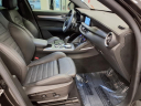 Thumbnail image of 2023 Alfa Romeo Stelvio at Brandon Auto Mall By Ed Morse