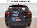 Thumbnail image of 2023 Alfa Romeo Stelvio at Brandon Auto Mall By Ed Morse