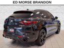 Thumbnail image of 2023 Alfa Romeo Stelvio at Brandon Auto Mall By Ed Morse