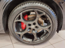 Thumbnail image of 2023 Alfa Romeo Stelvio at Brandon Auto Mall By Ed Morse