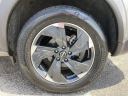 Thumbnail image of 2024 Nissan Rogue at Cavender Toyota