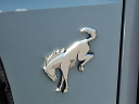 Thumbnail image of 2022 Ford Bronco at Randy Marion Ford