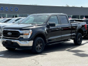 Thumbnail image of 2021 Ford F-150 at Lasco Ford