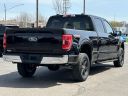 Thumbnail image of 2021 Ford F-150 at Lasco Ford
