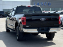 Thumbnail image of 2021 Ford F-150 at Lasco Ford