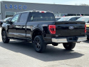 Thumbnail image of 2021 Ford F-150 at Lasco Ford