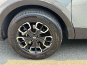 Thumbnail image of 2024 Hyundai SANTA CRUZ at Empire Hyundai of Jamaica