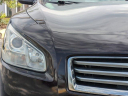 Thumbnail image of 2012 Nissan Maxima at SuncoastChryslerJeep - Used