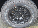 Thumbnail image of 2025 Ram 1500 at Nielsen Chrysler Dodge Jeep Ram
