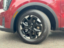 Thumbnail image of 2025 Kia Sorento at JenkinsKiaOfGainesville-New of Gainesville, FL