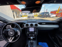 Thumbnail image of 2023 Ford Mustang at Miami Luxury Motors