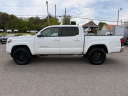 Thumbnail image of 2022 Toyota Tacoma at Sheets Chrysler Jeep Dodge