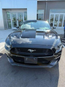 Thumbnail image of 2017 Ford Mustang at Ciocca Ford of Quakertown New