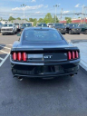 Thumbnail image of 2017 Ford Mustang at Ciocca Ford of Quakertown New