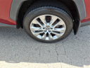 Thumbnail image of 2019 Toyota RAV4 at Smith Ford
