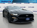 Thumbnail image of 2022 Ford Mustang at DowlingFordInc - New