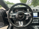 Thumbnail image of 2022 Ford Mustang at DowlingFordInc - New