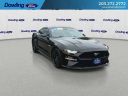 Thumbnail image of 2022 Ford Mustang at DowlingFordInc - New
