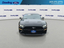 Thumbnail image of 2022 Ford Mustang at DowlingFordInc - New