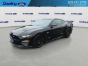 Thumbnail image of 2022 Ford Mustang at DowlingFordInc - New