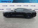 Thumbnail image of 2022 Ford Mustang at DowlingFordInc - New