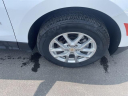 Thumbnail image of 2024 Chevrolet Equinox at Tradition Chevrolet Buick
