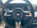 Thumbnail image of 2019 Ford Mustang at JEREMY'S AUTO SALES INC