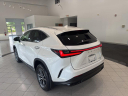 Thumbnail image of 2022 Lexus NX 350 at Johnson Lexus Of Durham