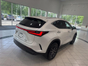 Thumbnail image of 2022 Lexus NX 350 at Johnson Lexus Of Durham