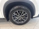 Thumbnail image of 2022 Lexus NX 350 at Johnson Lexus Of Durham