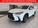 Thumbnail image of 2022 Lexus NX 350 at Johnson Lexus Of Durham