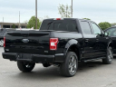 Thumbnail image of 2020 Ford F-150 at Lasco Ford