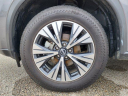 Thumbnail image of 2023 Nissan Rogue at Landers Ford South