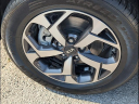 Thumbnail image of 2022 Kia Sportage at Kia Of Chattanooga
