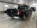 2024 Ford F-150 XLT at Monster Motors