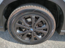 Thumbnail image of 2020 Subaru Forester at Jenkins Subaru of Ocala - NEW