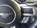Thumbnail image of 2022 Ford Mustang at UltimateFord of Mountain Home, AR