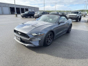 Thumbnail image of 2022 Ford Mustang at UltimateFord of Mountain Home, AR
