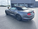 Thumbnail image of 2022 Ford Mustang at UltimateFord of Mountain Home, AR