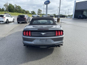 Thumbnail image of 2022 Ford Mustang at UltimateFord of Mountain Home, AR